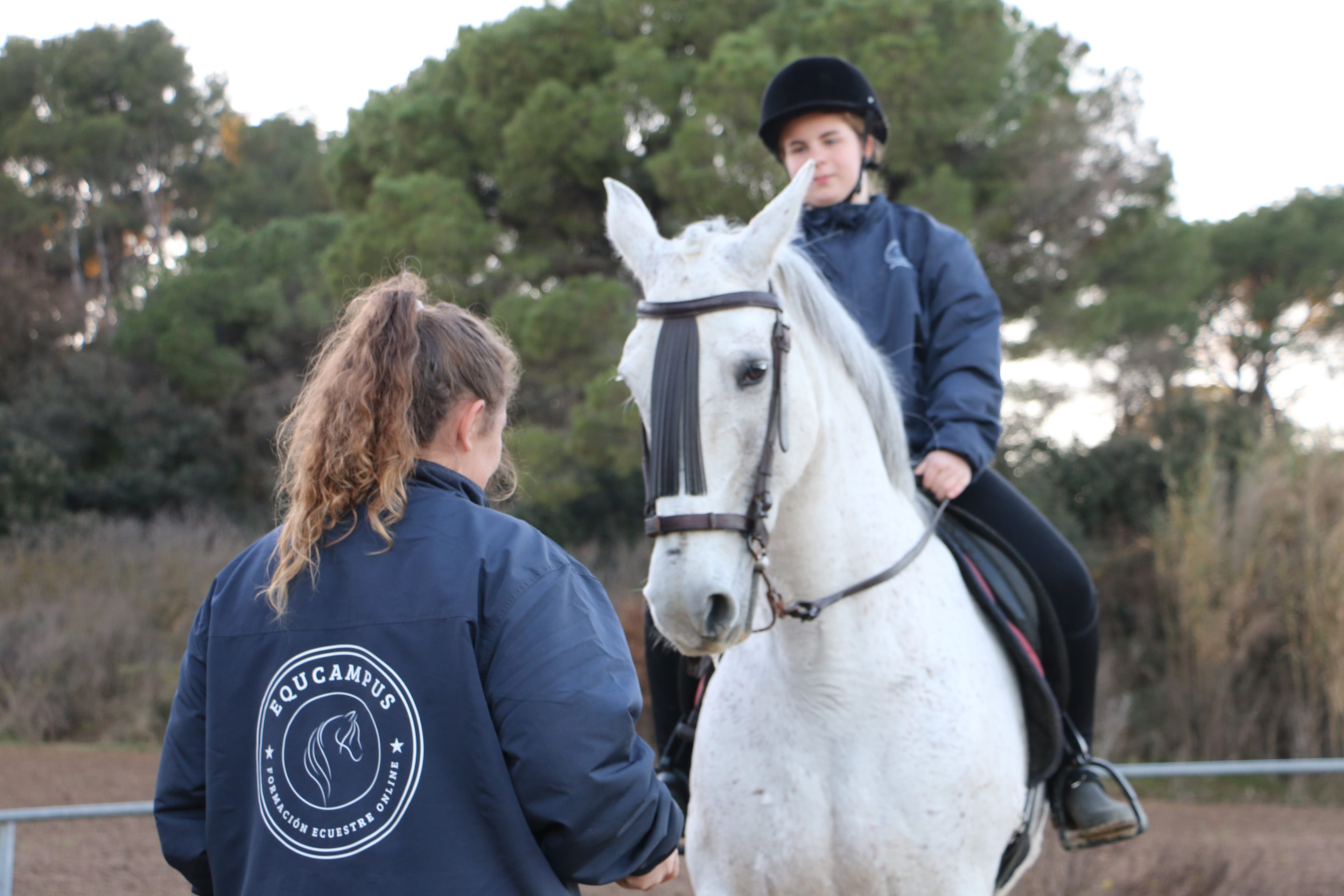 Formación ecuestre online